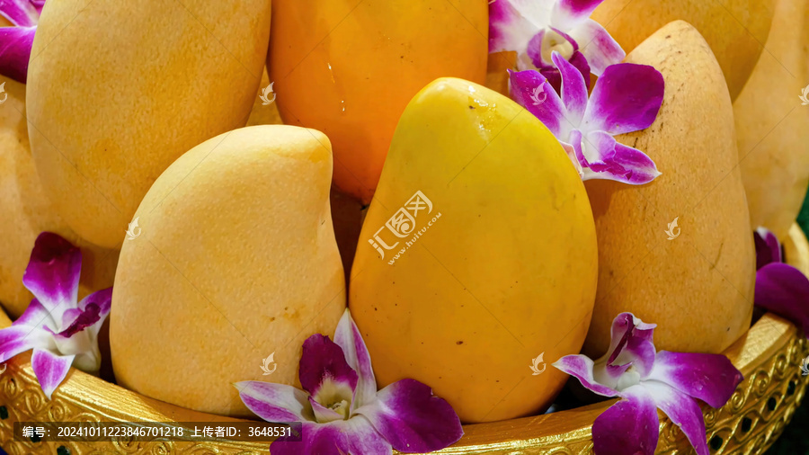 芒果