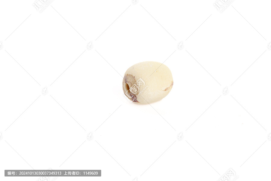 莲子