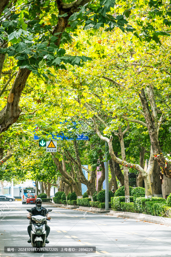 青岛大学路