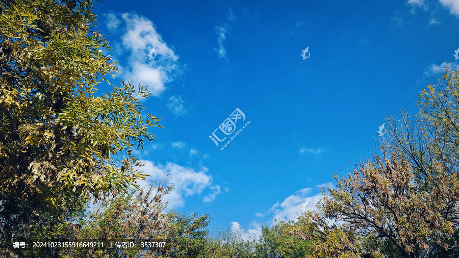仰望天空