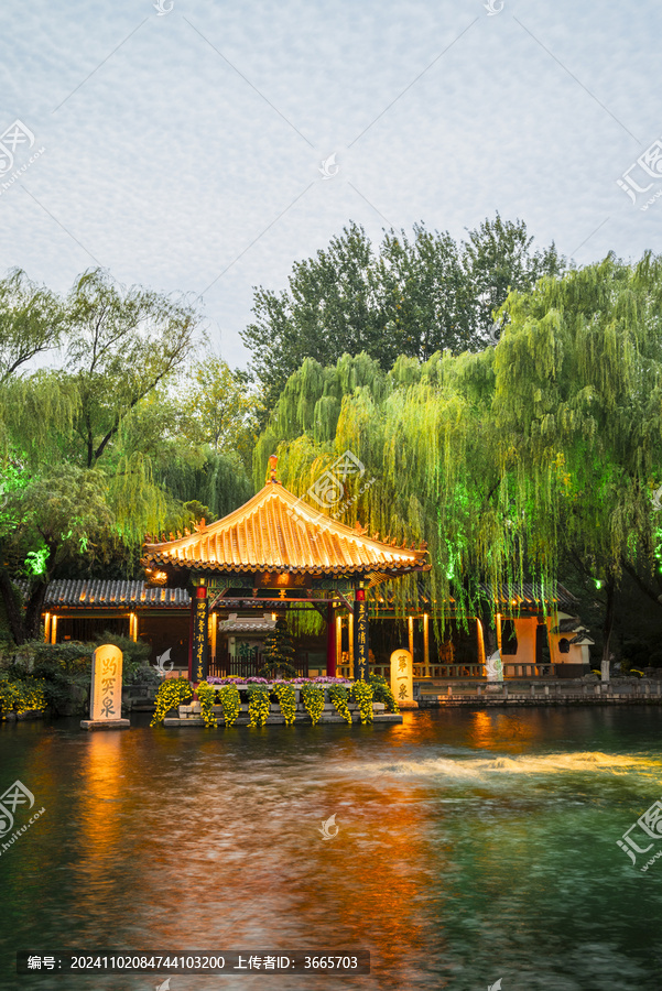 山东济南趵突泉菊展夜景