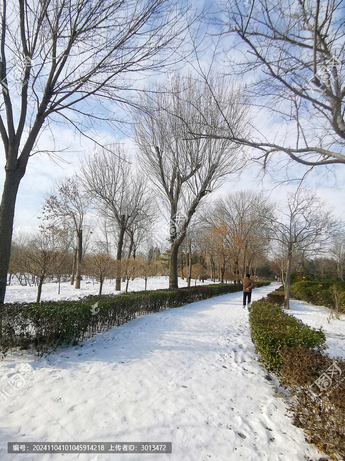 雪景