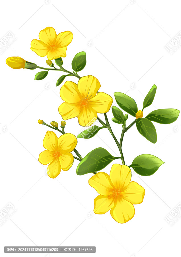 国潮手绘黄色迎春花