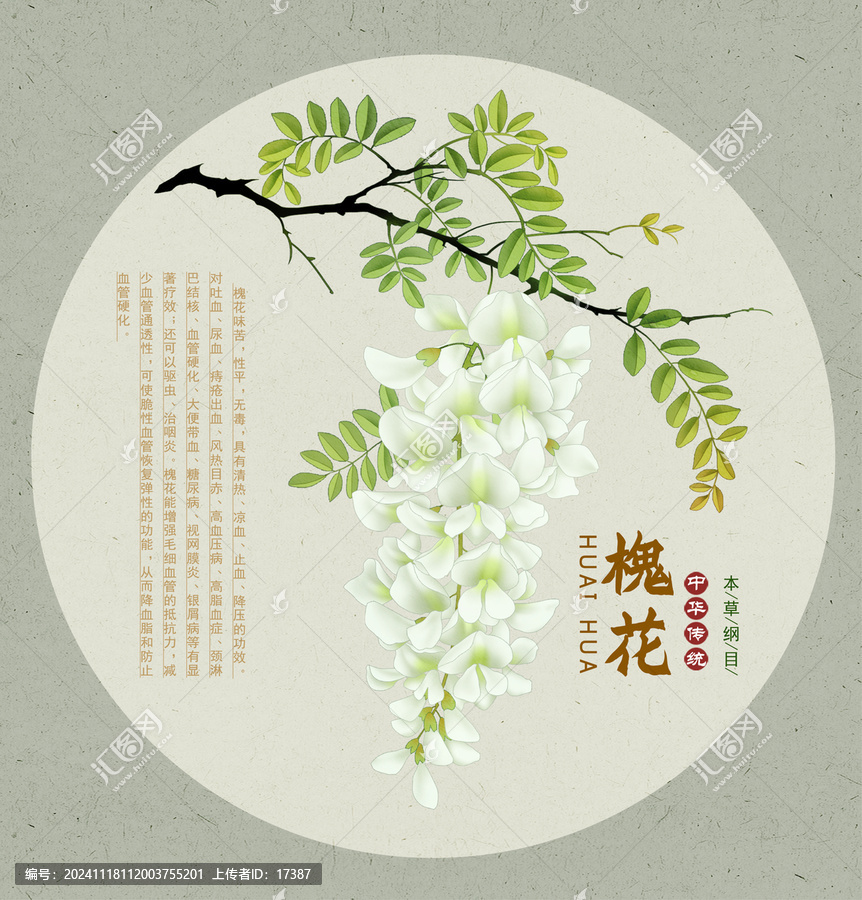 槐花