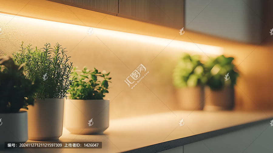 现代厨房吧台上的香草植物