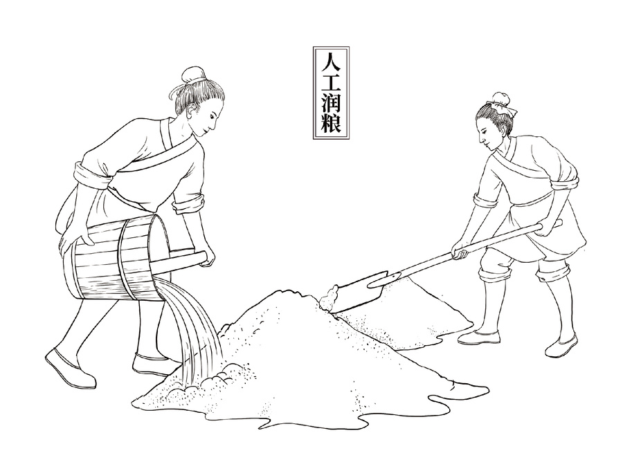 酿酒人工润粮