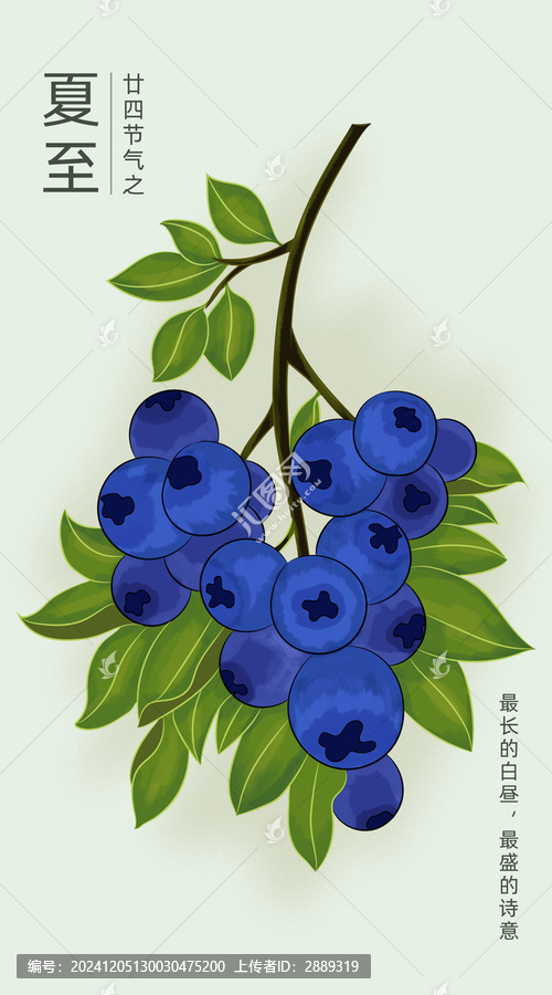 手绘蓝莓水彩节气插画