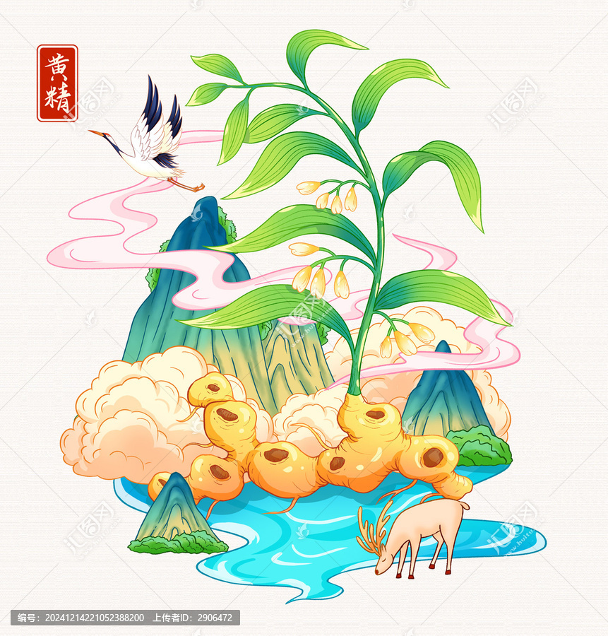 黄精国风插画手绘