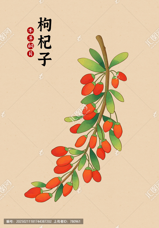 草药枸杞