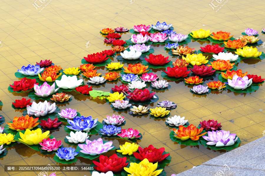 莲花漂流灯