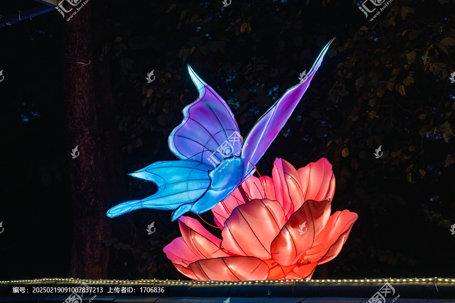 夜间蝶花彩灯梦幻光影艺术景观