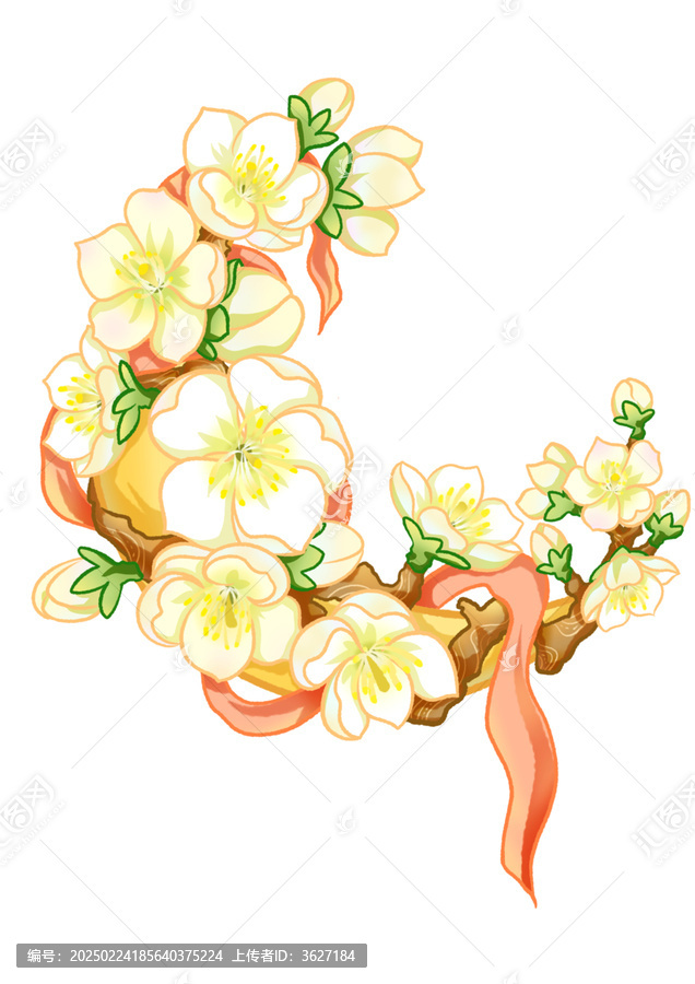 杏花绸带