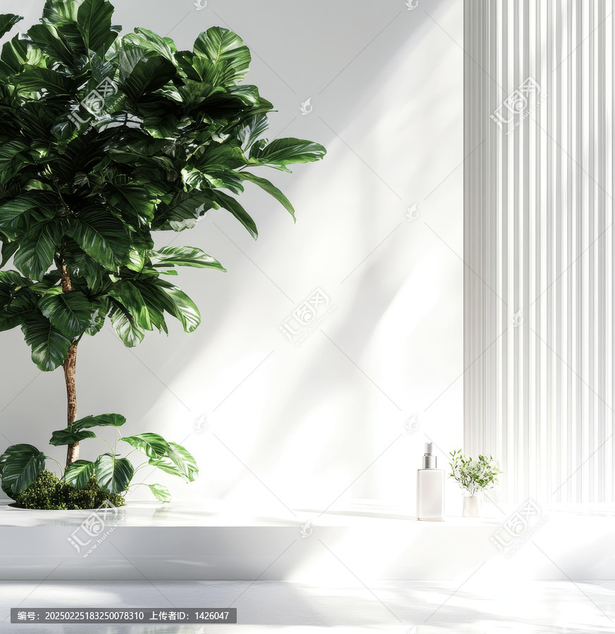 现代极简室内植物摆设设计