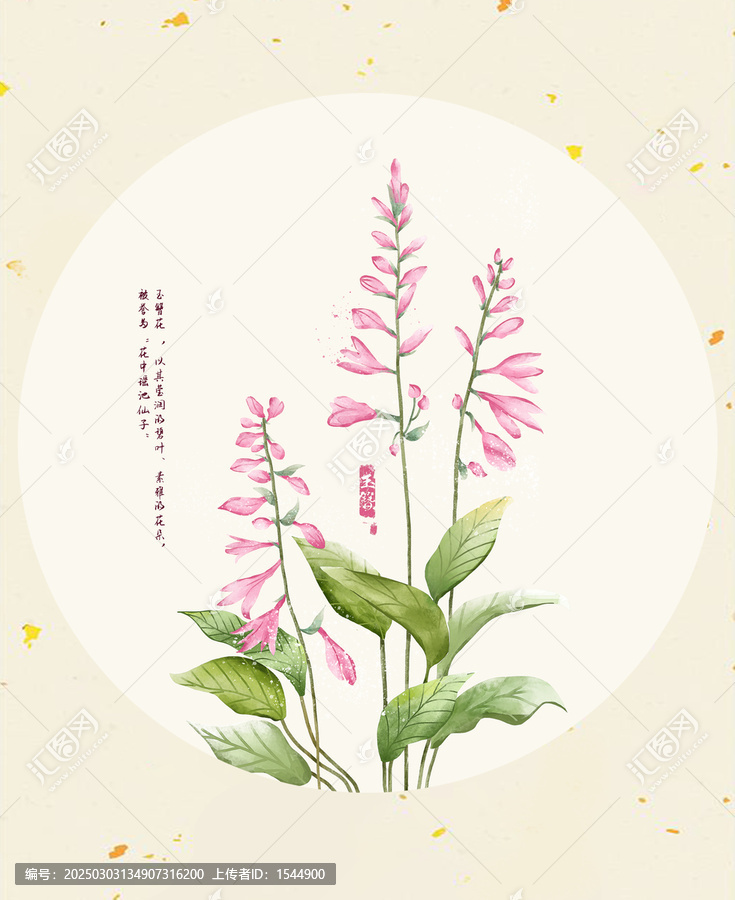 淡彩粉色玉簪花元素插画