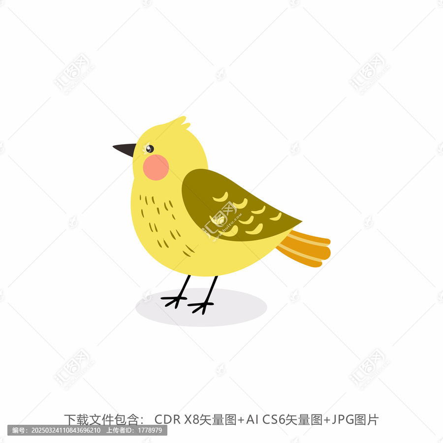 一只站立的小鸟