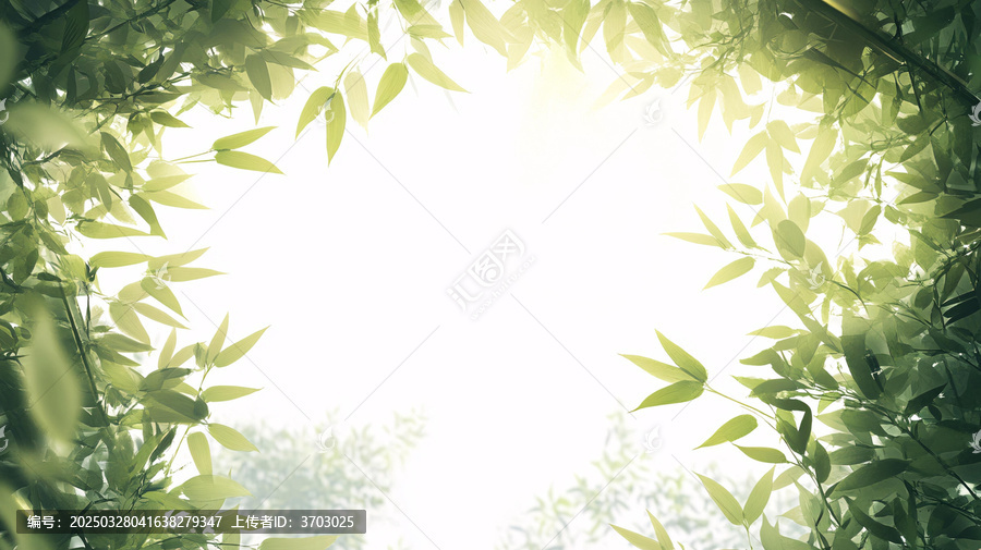 唯美竹叶背景