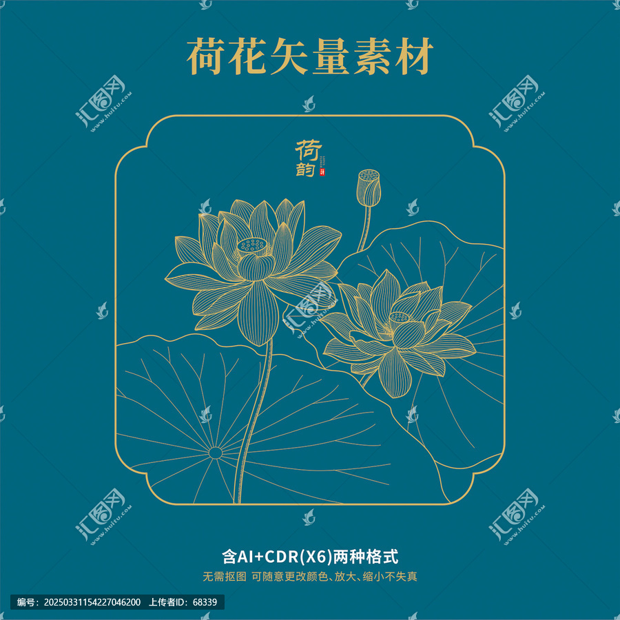 手绘线描荷花