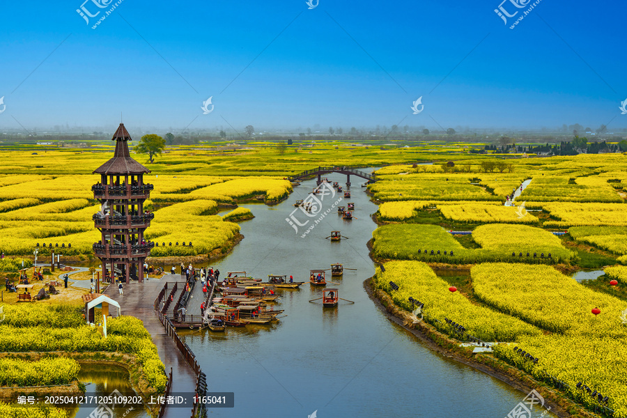 兴化千垛油菜花景区