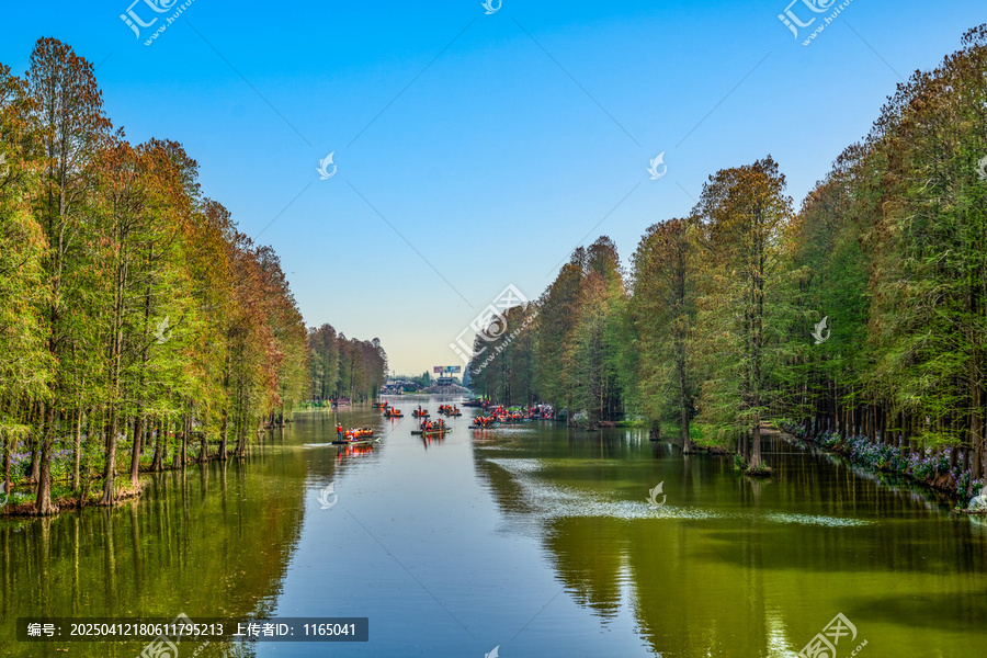 兴化李中水上森林公园