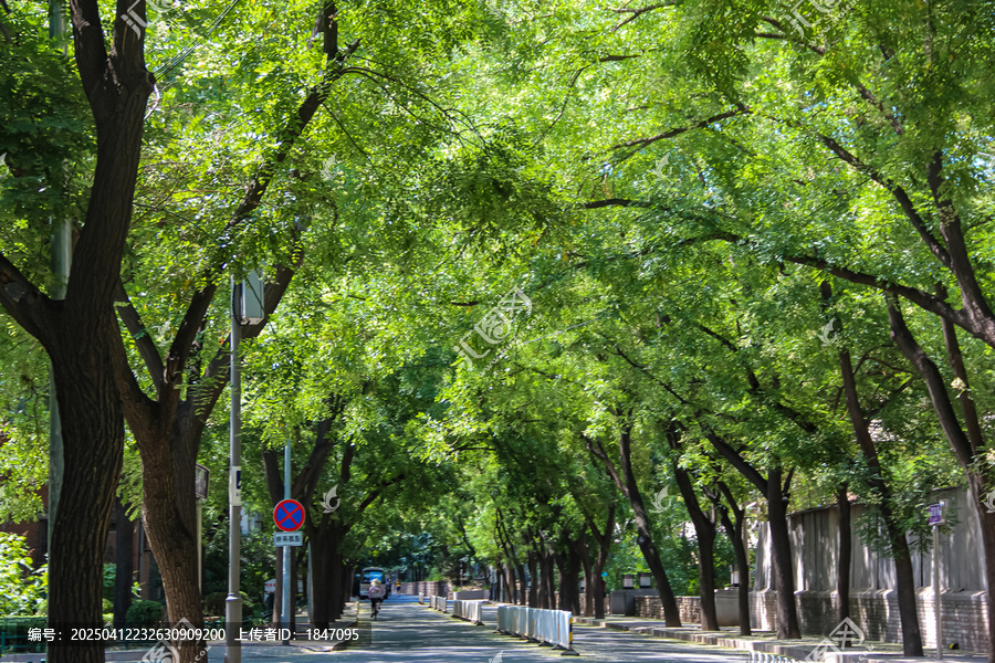 北京邮电大学
