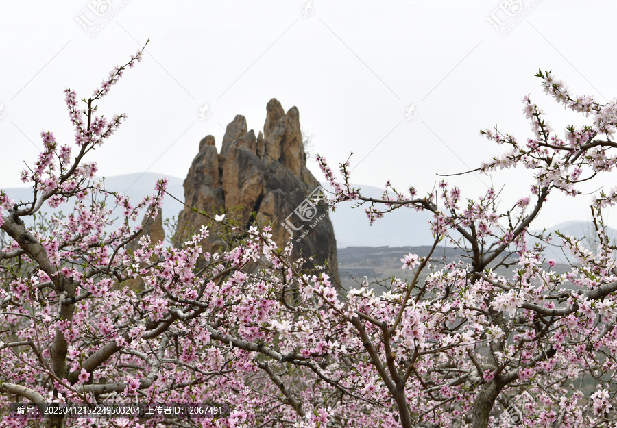 山东临沂平邑县丹山