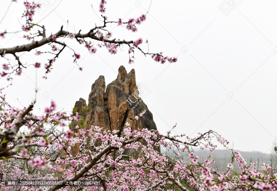 山东临沂平邑县丹山