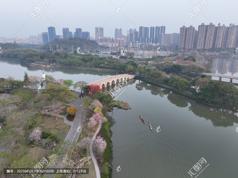 顺峰山公园春色