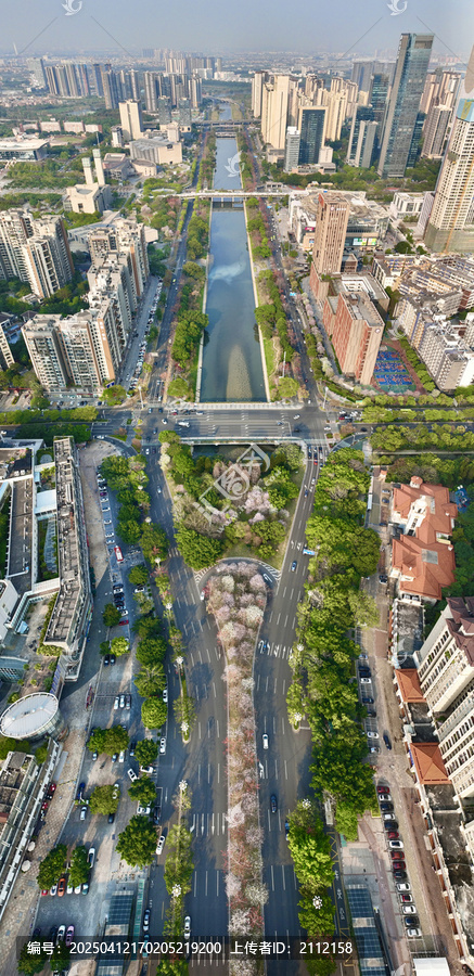 佛山市顺德区大良顺德新城兴顺路城市春色