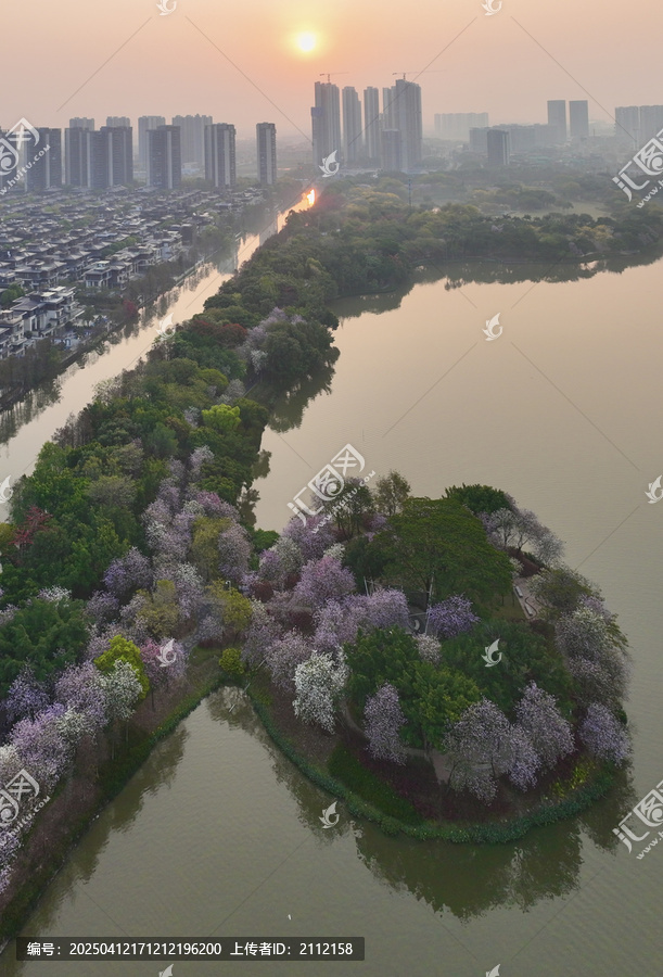 顺峰山公园桂畔湖春色日出全景