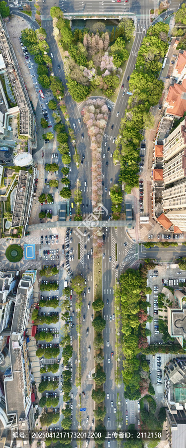 佛山市顺德区大良顺德新城兴顺路城市春色