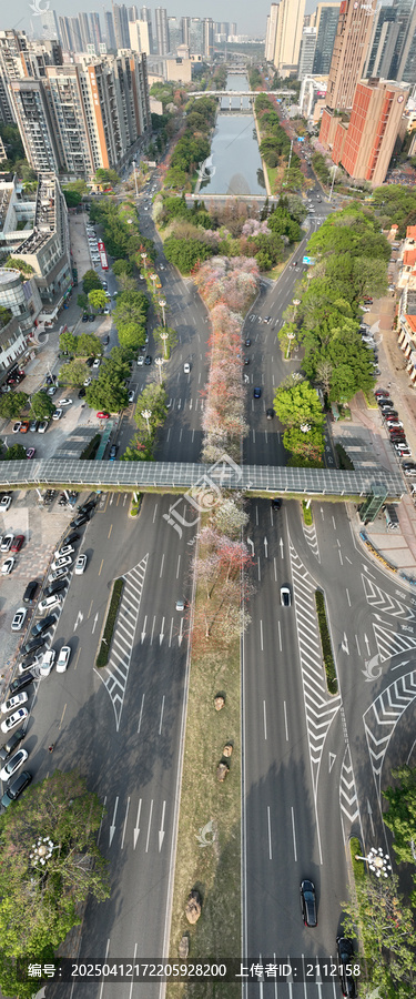 佛山市顺德区大良顺德新城兴顺路城市春色