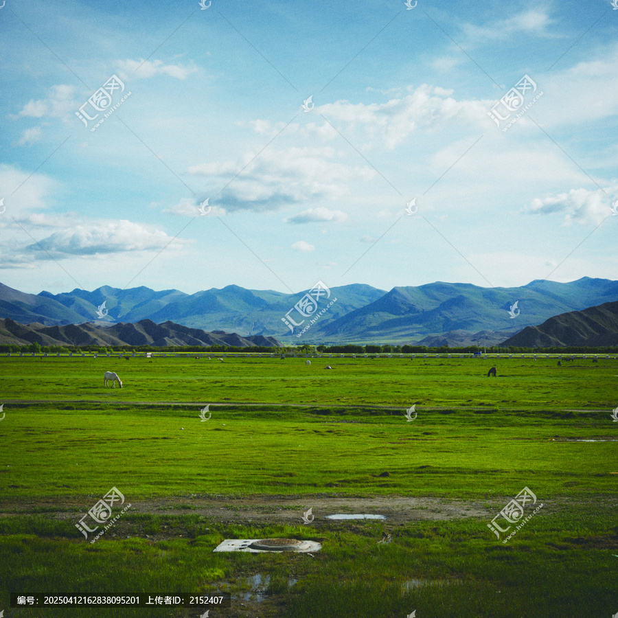 西藏风景之一湿地山青水秀