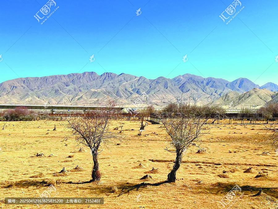 西藏美好风景