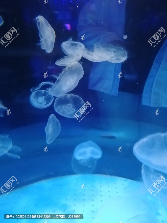 海洋馆热带鱼