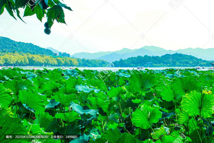 杭州西湖