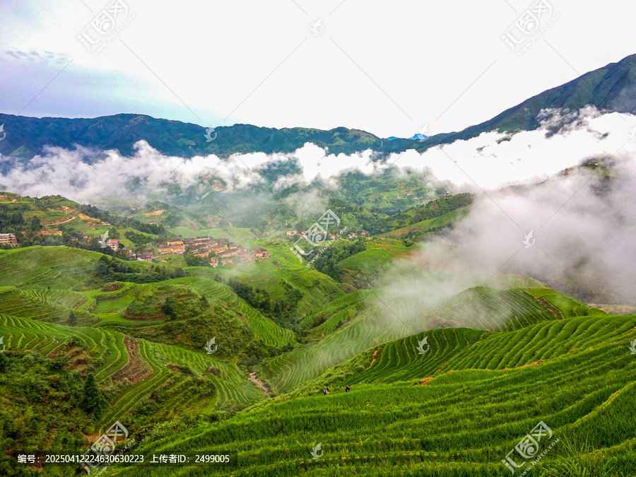 龙脊梯田