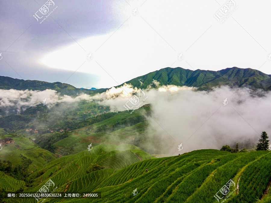 龙脊梯田