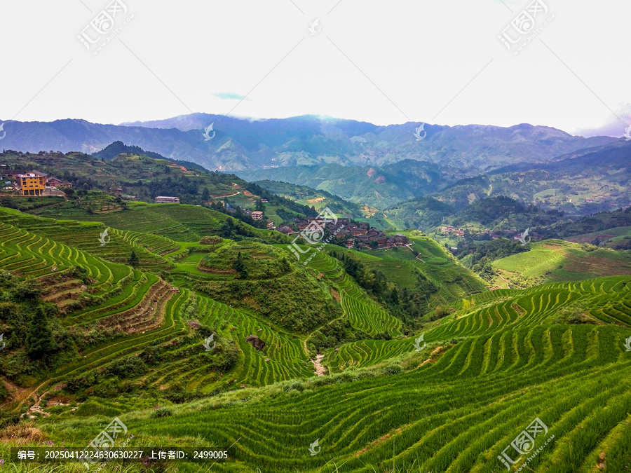 元阳梯田