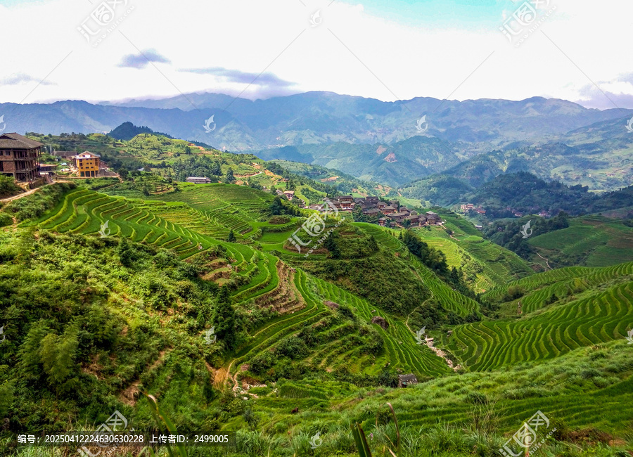 龙脊梯田