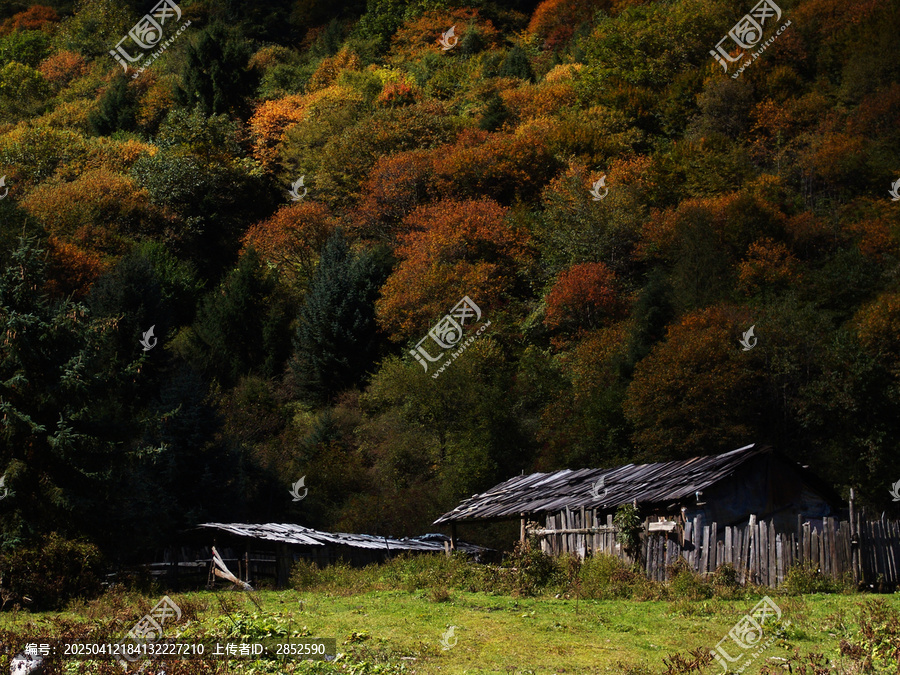 秋天山脚下的木屋