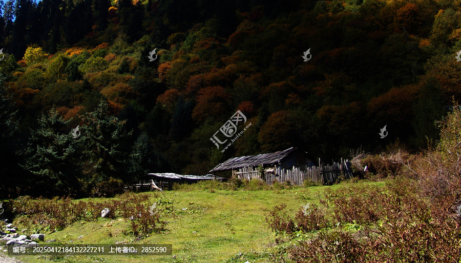 高山下的木屋