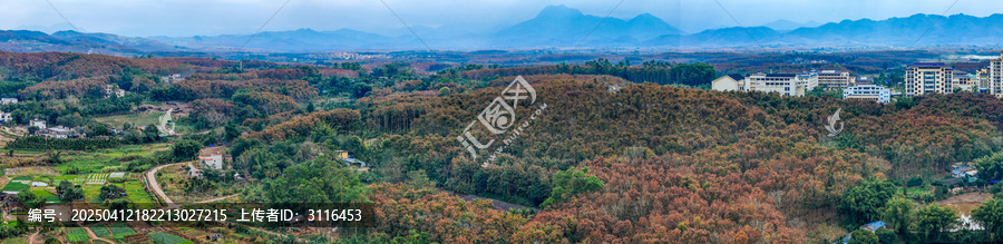 白沙县