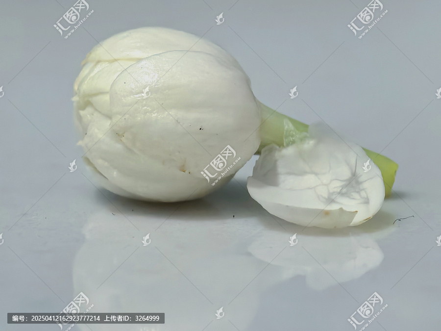 茉莉花