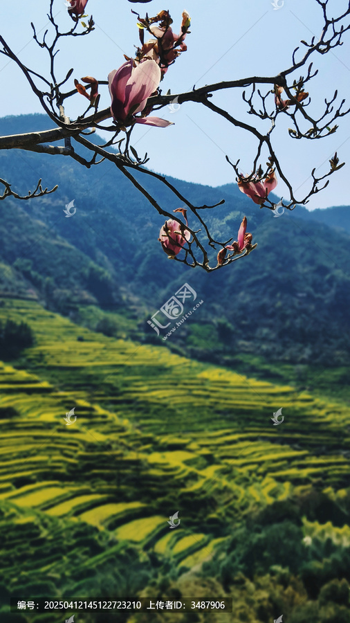 婺源