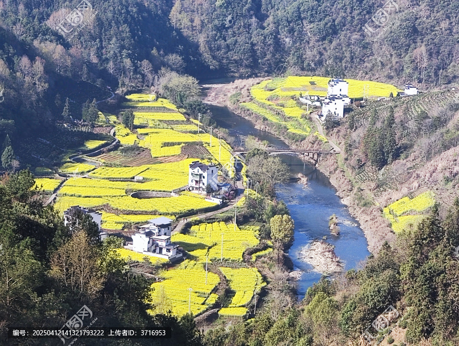 如油画版的皖南油菜花田