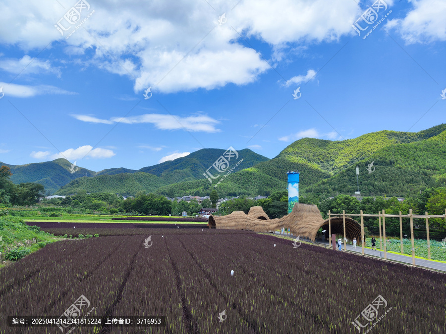 金山银山不如绿水青山的余村