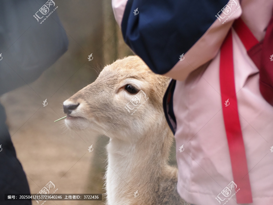 长生鹿苑