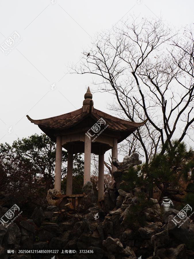 明孝陵梅花山