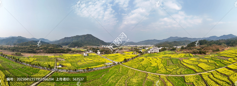 江西婺源江湾景区金色田园油菜花盛景