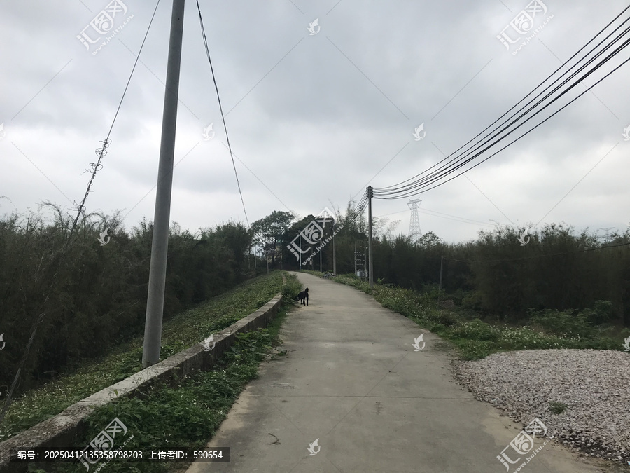 飞来峡白鹤塘江边下雨景色